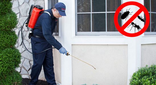 Honaz Hamam Böceği İlaçlama böcek ilaçlama ve haşere kontrolü — ilaclama-tr.com
